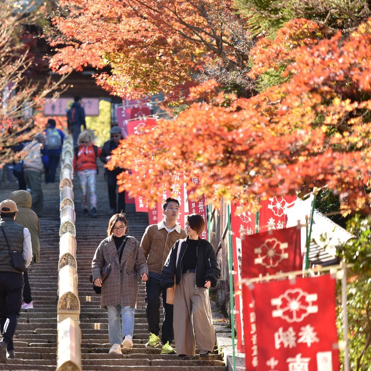 Miyajima Morinoyado Hotel Hatsukaichi Ngoại thất bức ảnh