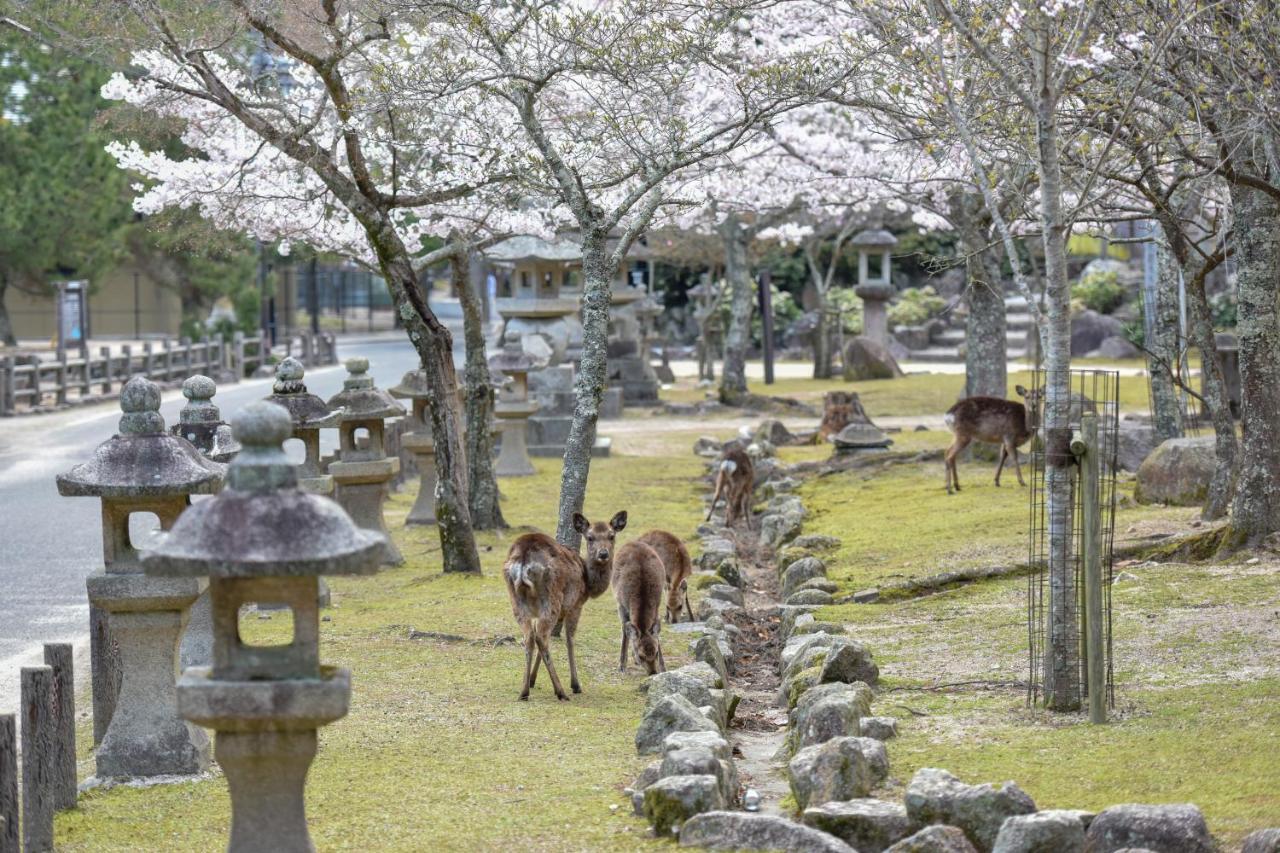 Miyajima Morinoyado Hotel Hatsukaichi Ngoại thất bức ảnh