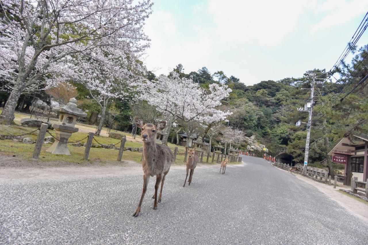 Miyajima Morinoyado Hotel Hatsukaichi Ngoại thất bức ảnh